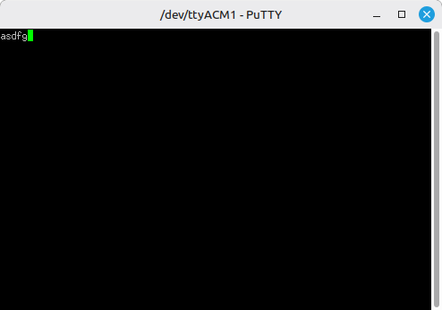Pi Pico Putty Echo